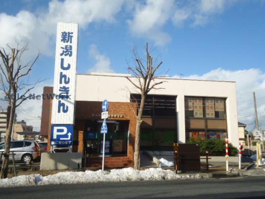 新潟信用金庫関屋支店(銀行)まで221m メゾン信濃