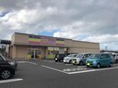 シルク新潟中央インター店(ディスカウントショップ)まで971m ファーストクラス市民病院前