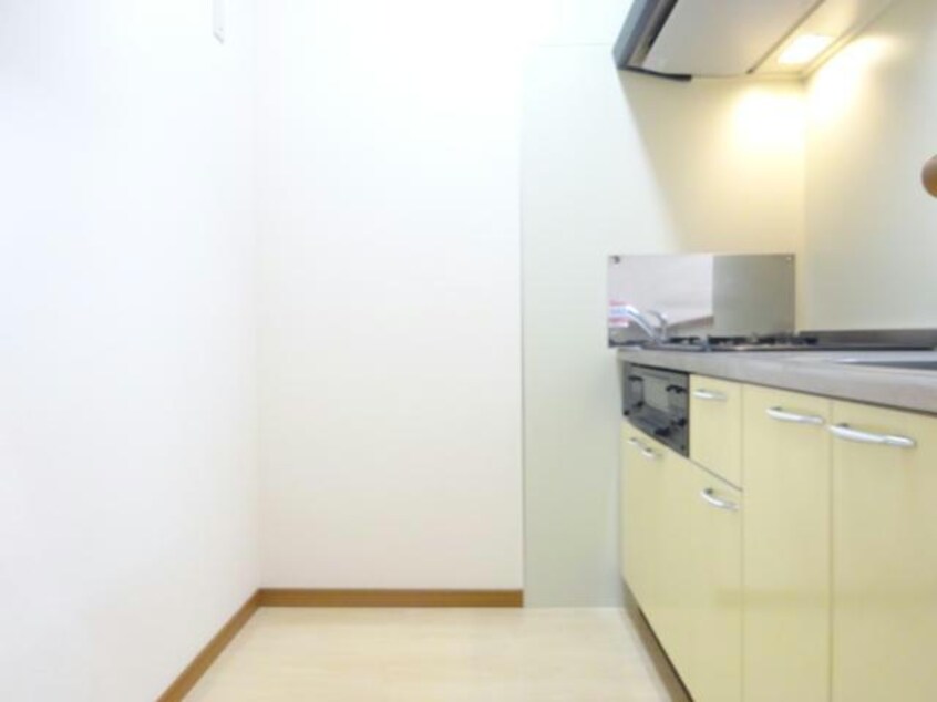 参考写真 セリージャ　デ　トーア