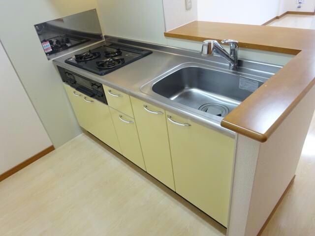 参考写真 セリージャ　デ　トーア