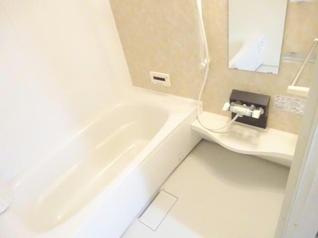 参考写真 セリージャ　デ　トーア