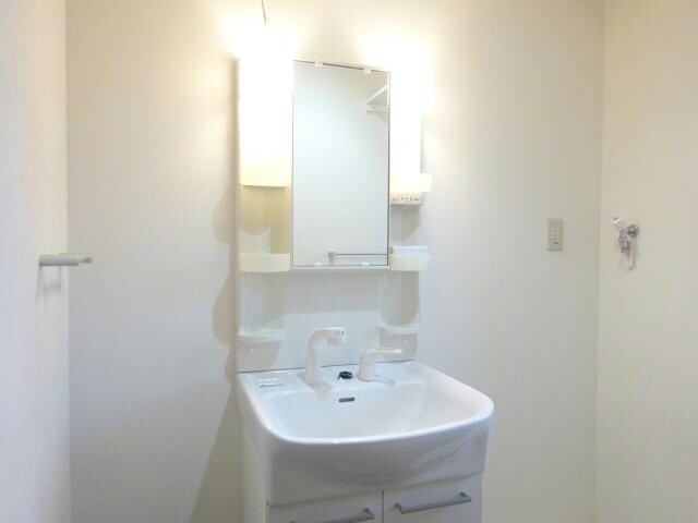 参考写真 セリージャ　デ　トーア