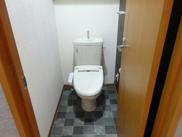 参考写真 セリージャ　デ　トーア