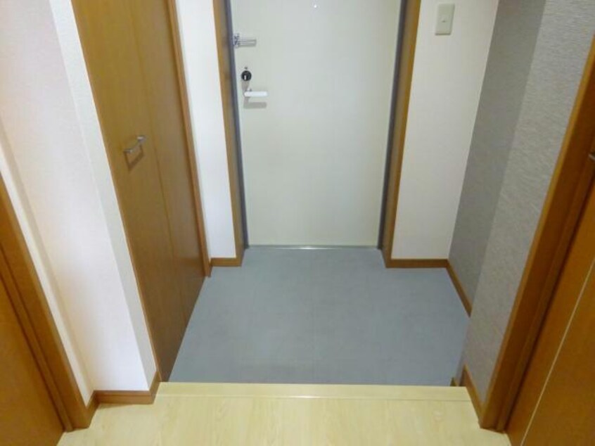 参考写真 セリージャ　デ　トーア