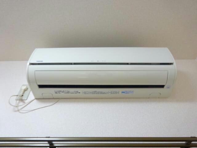 参考写真 セリージャ　デ　トーア