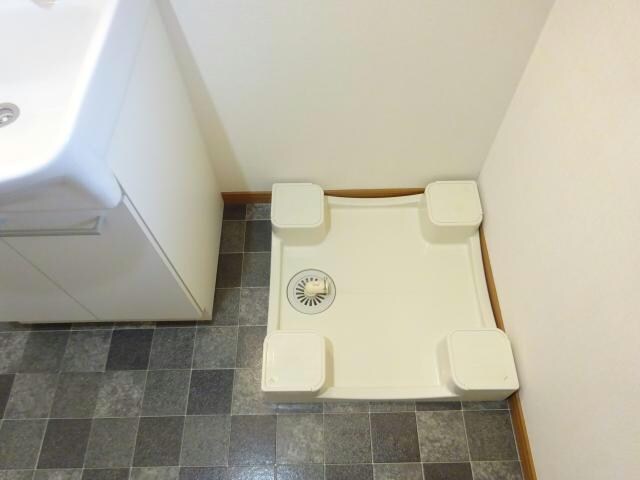 参考写真 セリージャ　デ　トーア