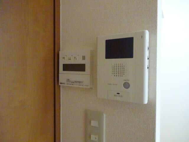 参考写真 セリージャ　デ　トーア