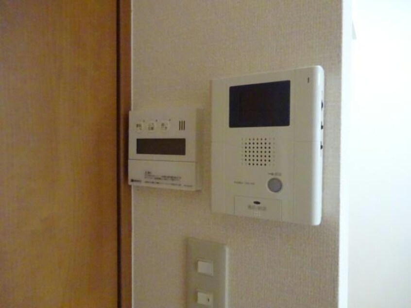 参考写真 セリージャ　デ　トーア