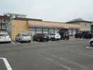 セブンイレブン新潟和合町店(コンビニ)まで650m ペルトⅡ