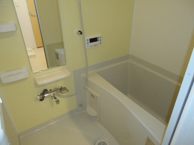 参考写真 ポローニア