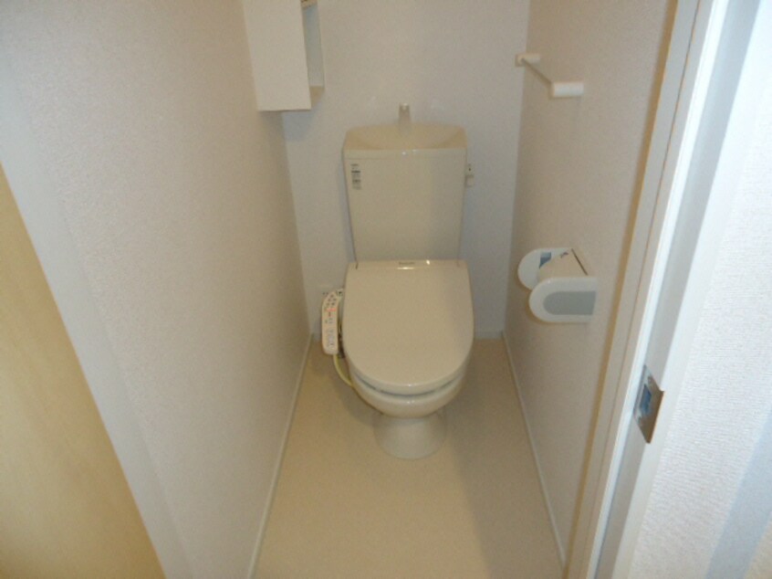 参考写真 ポローニア