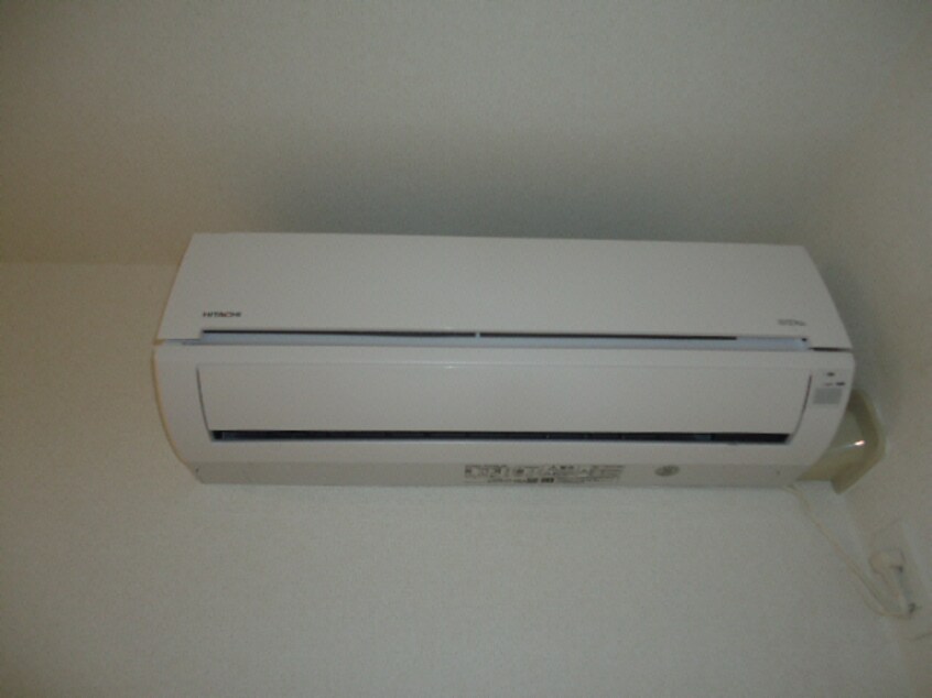 参考写真 ポローニア