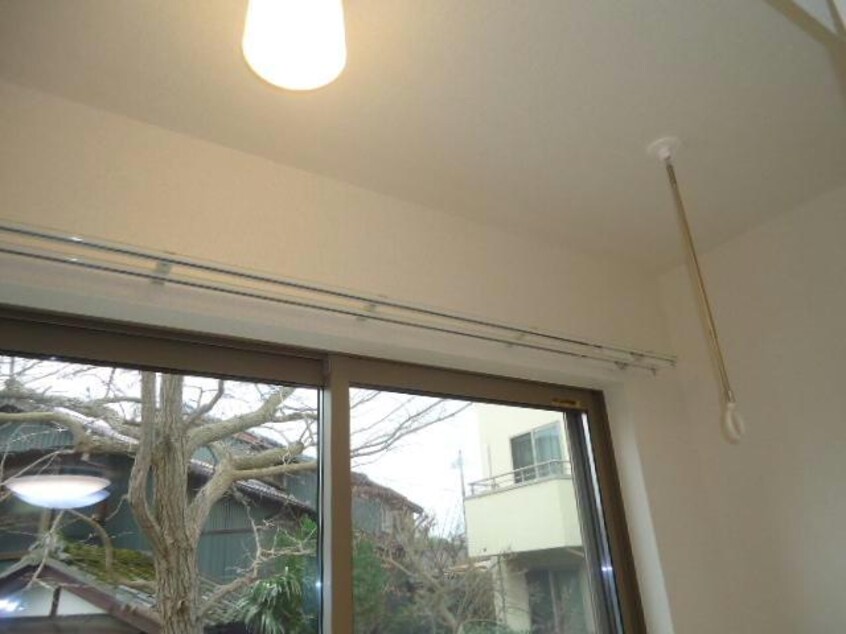 参考写真 ポローニア