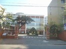 国立新潟大学医学部(大学/短大/専門学校)まで566m さくらハウス