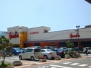 原信関屋店(スーパー)まで482m ヒルサイド関屋