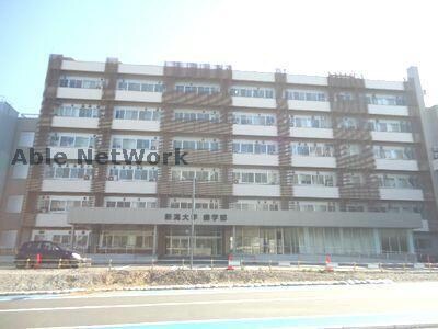 国立新潟大学歯学部(大学/短大/専門学校)まで783m ザ・パーク一番堀