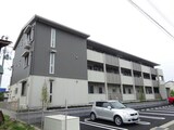 コートイーリス