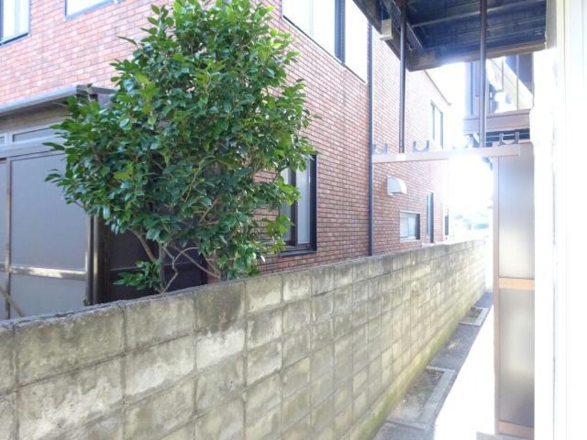 参考写真 アピア信濃町