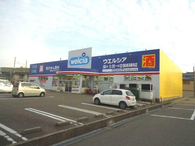 ウエルシア新潟新和店(ドラッグストア)まで392m Ｄ‐ＲＯＯＭ新和