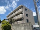  プラシード