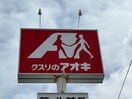クスリのアオキ青山店(ドラッグストア)まで713m プラシード