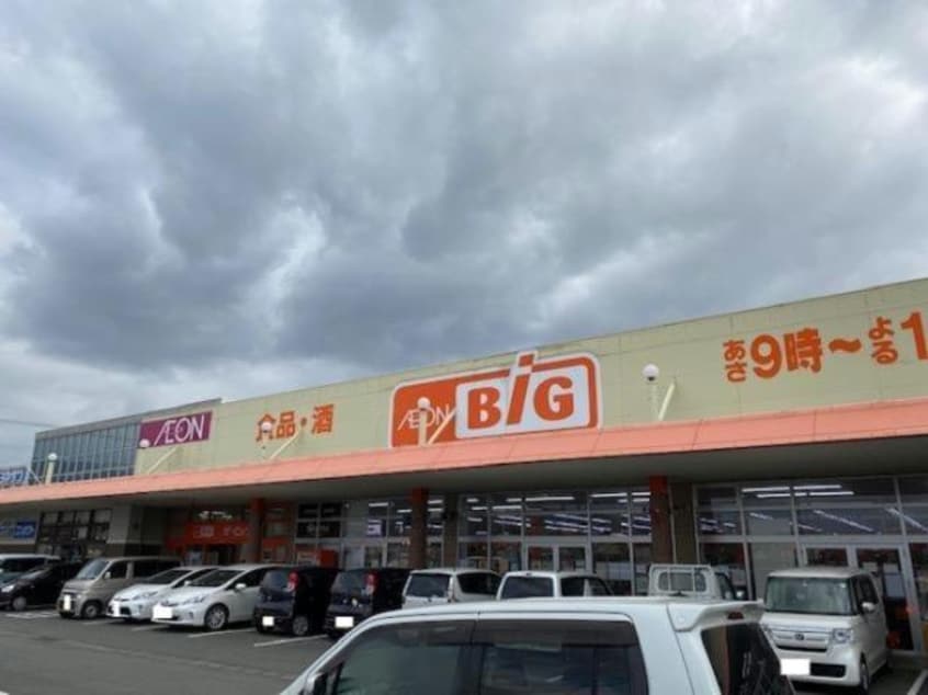 ザ・ビッグ三日月店(ディスカウントショップ)まで491m ピース・コア