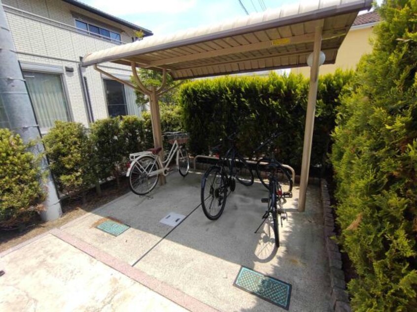  シャン・イリーデ