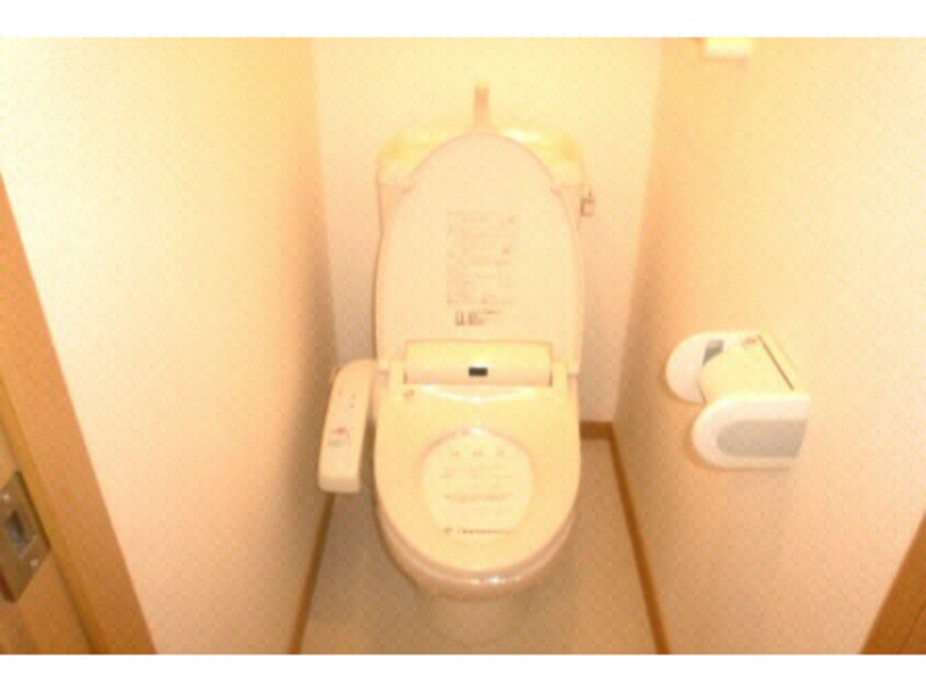  シャン・イリーデ