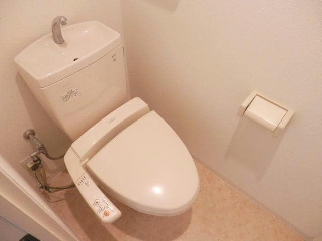  エバーフェニックス