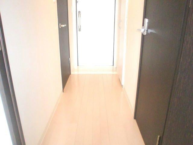  エバーフェニックス