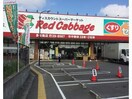 レッドキャベツ多布施店(スーパー)まで942m ル・フェール多布施Ｂ棟