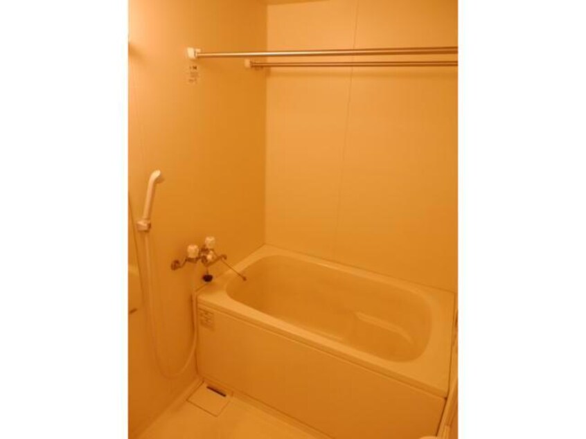  エグゼクティブフィーリア