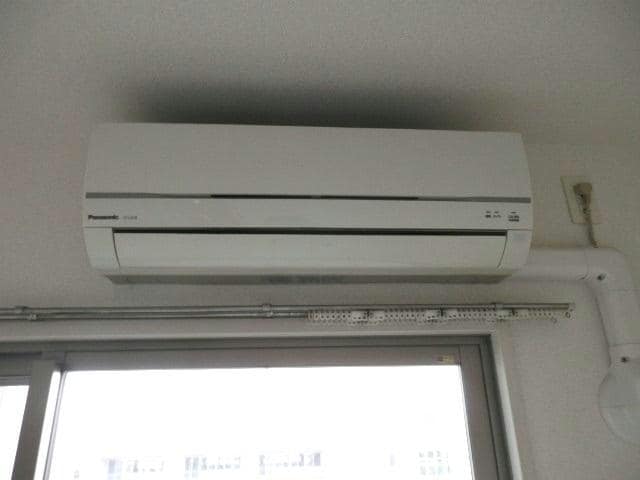  エグゼクティブフィーリア