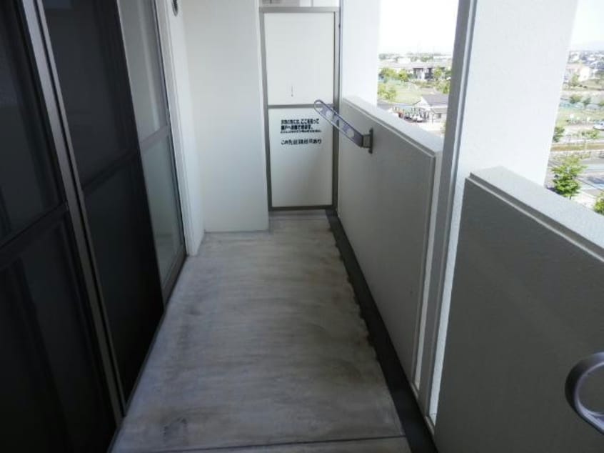  エグゼクティブフィーリア