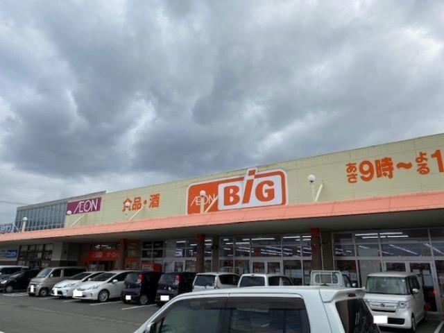 ザ・ビッグ三日月店(ディスカウントショップ)まで220m エトワールエデン　M