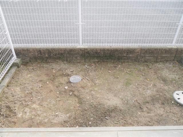  ウィステリア菜花