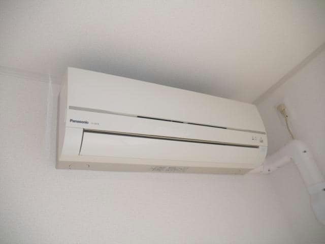  ウィステリア菜花