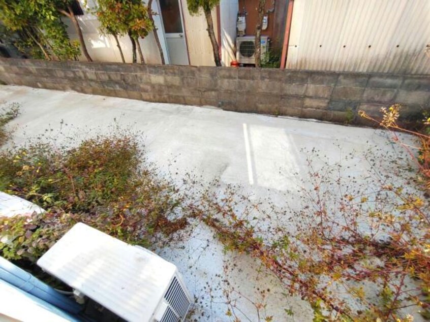  フォーレント若楠