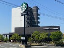 スターバックスコーヒー佐賀南バイパス店(その他飲食（ファミレスなど）)まで2859m ドルチェ・ヴィータ東与賀　B棟