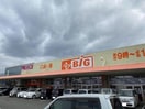 ザ・ビッグ三日月店(ディスカウントショップ)まで1227m アグレアブル小城