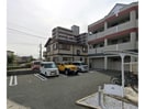 エーデルワイス