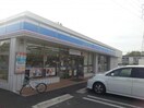 ローソン佐賀若楠三丁目店(コンビニ)まで254m ヴァネッサ若楠