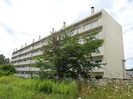 函館本線/峰延駅 車移動 5階 築42年の外観