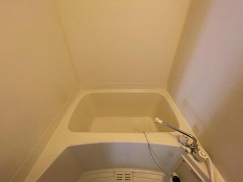  エクセランセトル