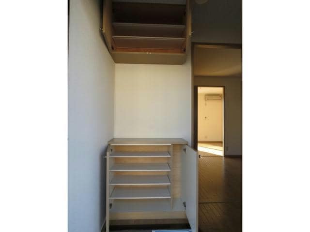  ミレニアム金光