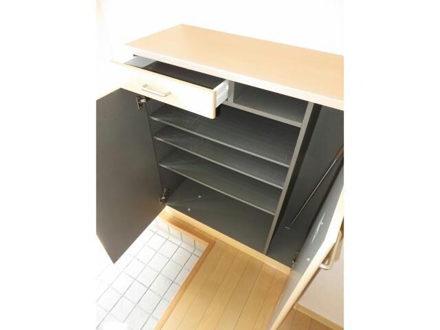  プラセール花華