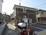 プリムラ　ジュリアン