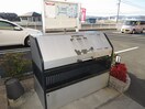  プリムラ　ジュリアン