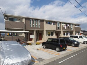 ブルームーン
