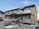  パインツリーF